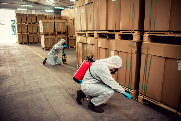 Best Pest Control Near Me  in Tobaccoville, NC