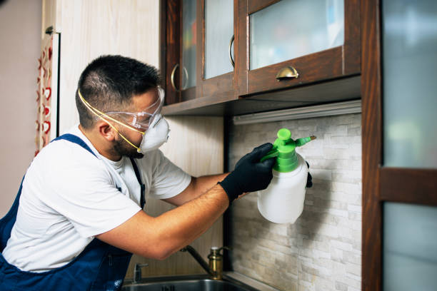 Pest Control for Restaurants in Tobaccoville, NC
