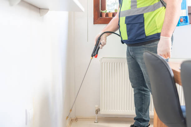 Wasp Removal Services in Tobaccoville, NC