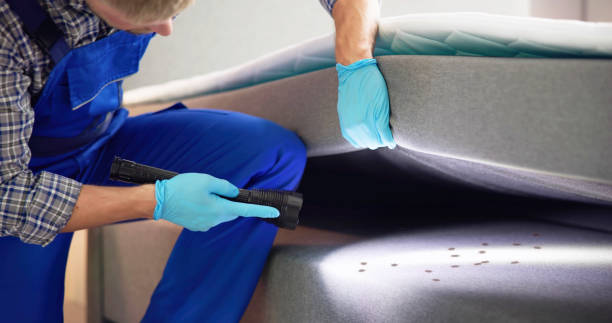 Best Pest Control Cost  in Tobaccoville, NC