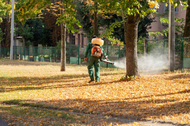 Wildlife Control Services in Tobaccoville, NC