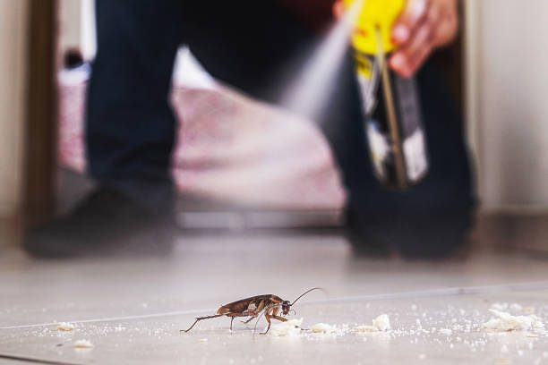 Best Pest Removal Services  in Tobaccoville, NC
