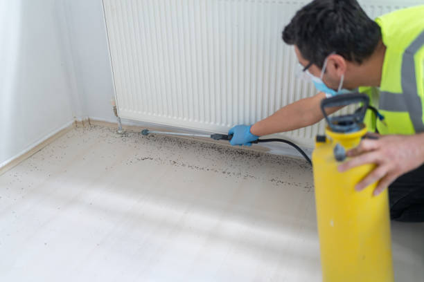 Best Best Pest Control Companies  in Tobaccoville, NC
