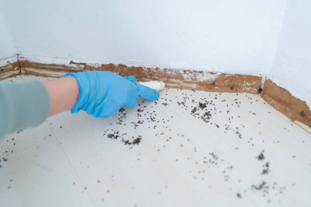 Pest Control Cost in Tobaccoville, NC